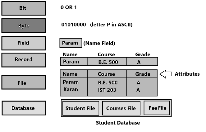 Database Management System Class 11 Computer Science Important Questions
