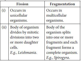 How do the Organisms Reproduce Class 10 Science Important Questions