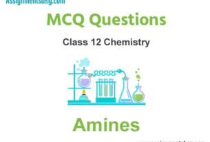 MCQ Questions Chapter 13 Amines Class 12 Chemistry