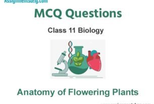 MCQ Questions Chapter 6 Anatomy of Flowering Plants Class 11 Biology