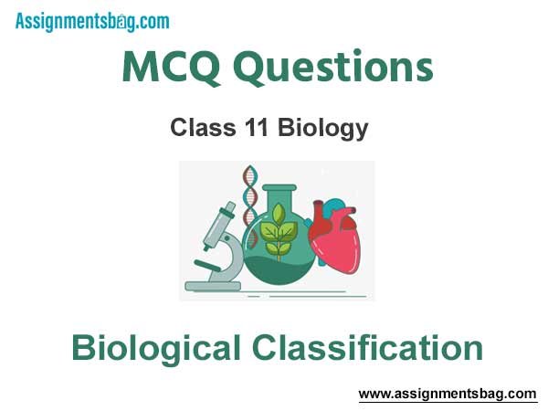 MCQ Questions Chapter 2 Biological Classification Class 11 Biology