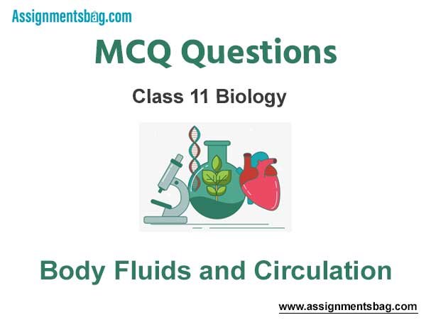 MCQ Questions Chapter 18 Body Fluids and Circulation Class 11 Biology