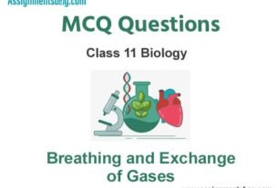 MCQ Questions Chapter 17 Breathing and Exchange of Gases Class 11 Biology