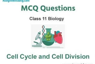 MCQ Questions Chapter 10 Cell Cycle and Cell Division Class 11 Biology