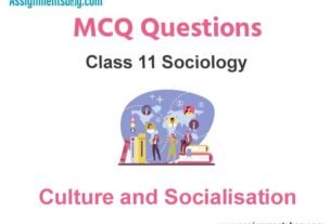 MCQ Questions Chapter 4 Culture and Socialisation Class 11 Sociology