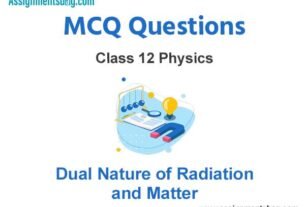 MCQ Questions Chapter 11 Dual Nature of Radiation and Matter Class 12 Physics