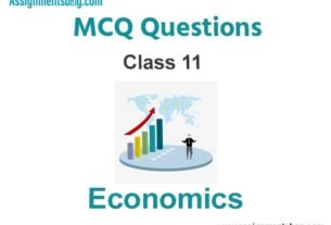 MCQ Questions For Class 11 Economics