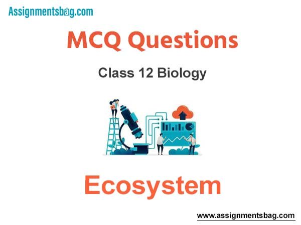 MCQ Questions Chapter 14 Ecosystem Class 12 Biology