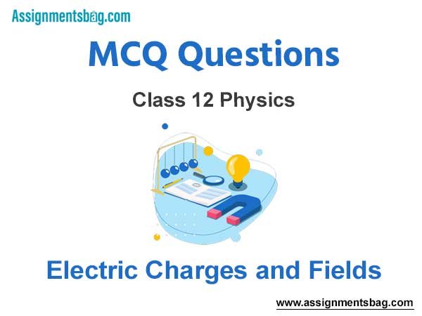 MCQ Questions Chapter 1 Electric Charges and Fields Class 12 Physics