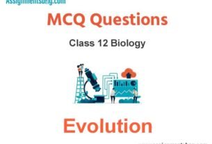 MCQ Questions Chapter 7 Evolution Class 12 Biology