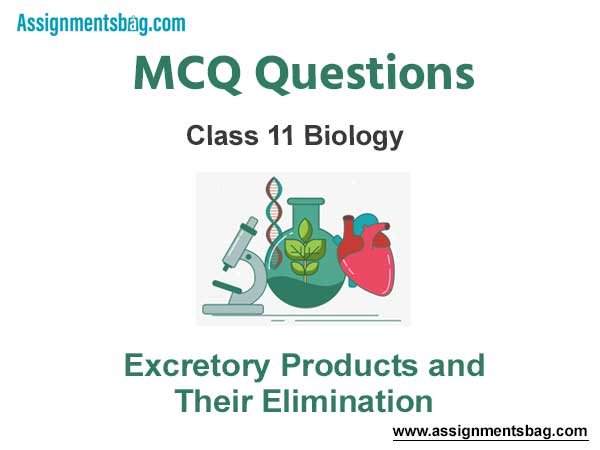 MCQ Questions Chapter 19 Excretory Products and Their Elimination Class 11 Biology