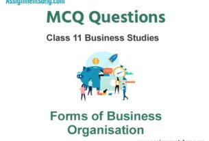 MCQ Questions Chapter 2 Forms of Business Organisation Class 11 Business Studies