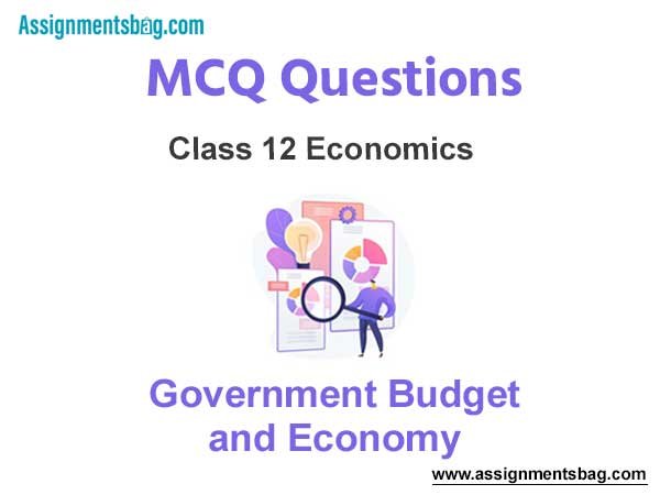 MCQ Questions Chapter 11 Government Budget and Economy Class 12 Economics