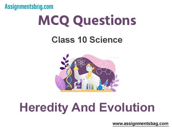 MCQ Questions Chapter 9 Heredity And Evolution Class 10 Science