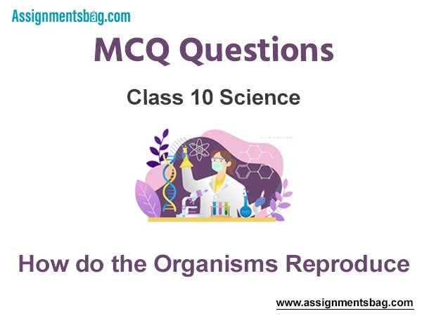 MCQ Questions Chapter 8 How do the Organisms Reproduce Class 10 Science