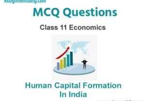 MCQ Questions Chapter 5 Human Capital Formation In India Class 11 Economics