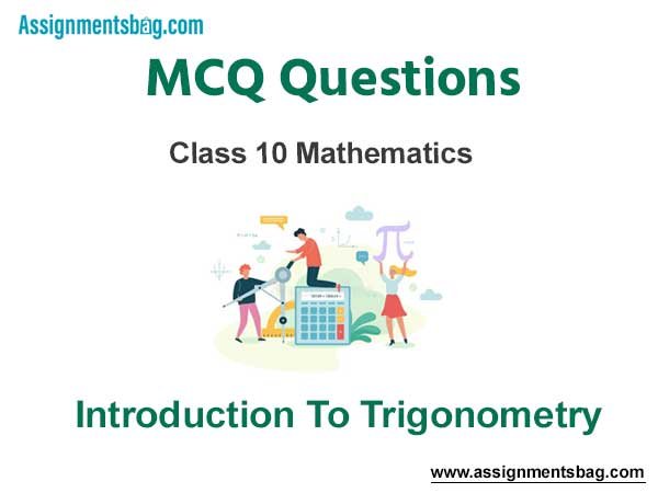 MCQ Questions Chapter 8 Trigonometry 10 Mathematics