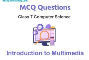MCQ Questions Chapter 7 Introduction to Multimedia Class 7 Computer Science