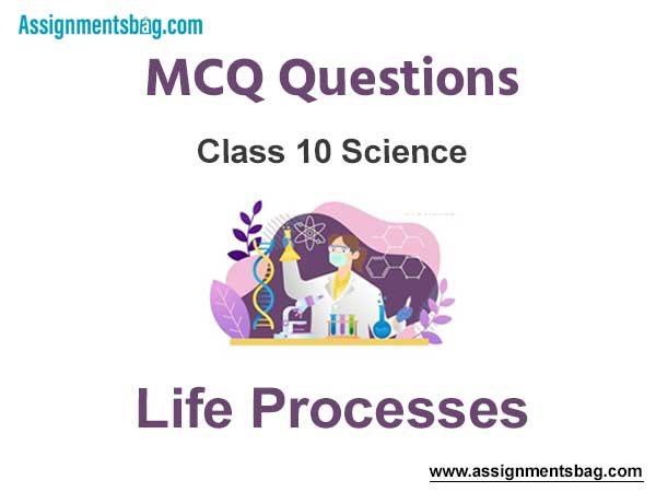 MCQ Questions Chapter 6 Life Processes Class 10 Science
