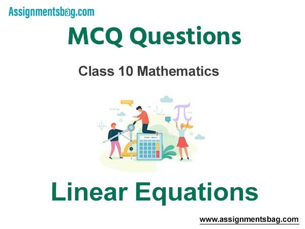 MCQ Questions Chapter 3 Linear Equations Class 10 Mathematics