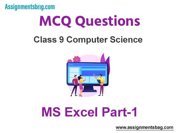 MCQ Questions Chapter 1 MS Excel Part-1 Class 9 Computer Science