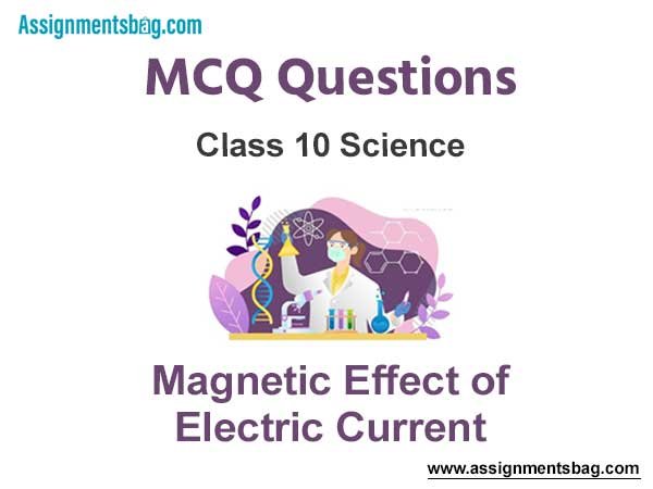 MCQ Questions Chapter 13 Magnetic Effect of Electric Current Class 10 Science