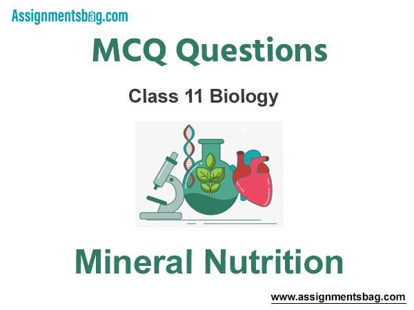 MCQ Questions Chapter 12 Mineral Nutrition Class 11 Biology