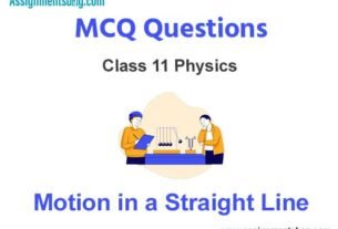MCQ Questions Chapter 3 Motion in a Straight Line Class 11 Physics