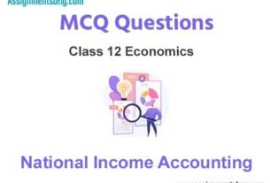 MCQ Questions Chapter 8 National Income Accounting Class 12 Economics