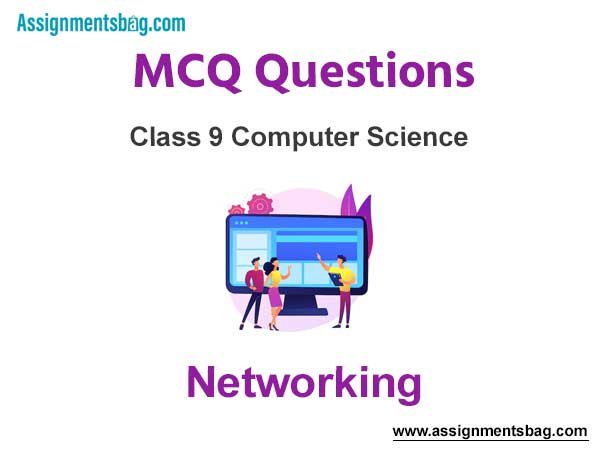 MCQ Questions Chapter 3 Networking Class 9 Computer Science