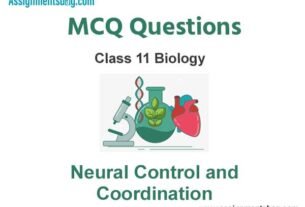 MCQ Questions Chapter 21 Neural Control and Coordination Class 11 Biology