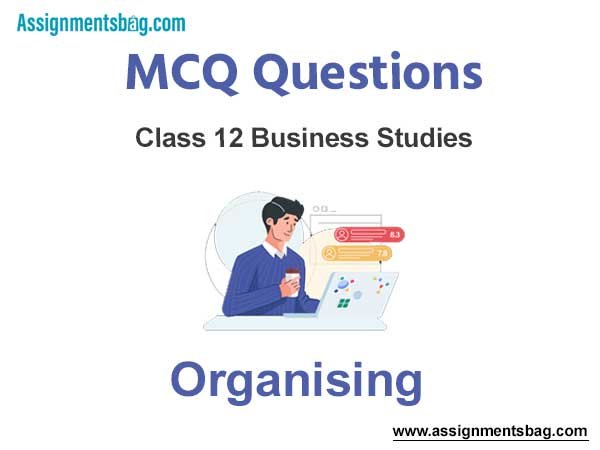 MCQ Questions Chapter 5 Organising Class 12 Business Studies