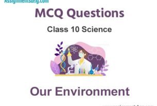 MCQ Questions Chapter 15 Our Environment Class 10 Social Science