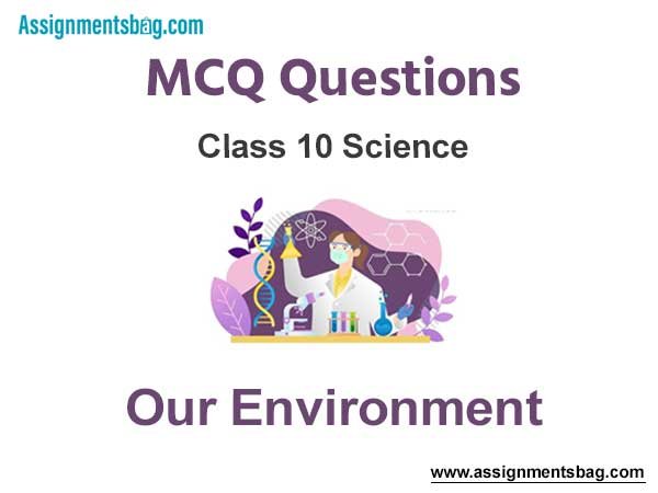 MCQ Questions Chapter 15 Our Environment Class 10 Social Science