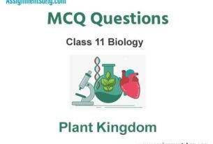 MCQ Questions Chapter 3 Plant Kingdom Class 11 Biology