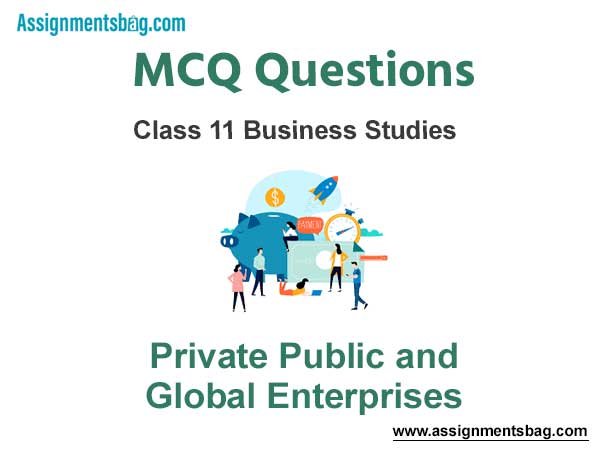 MCQ Questions Chapter 3 Private Public and Global Enterprises Class 11 Business Studies