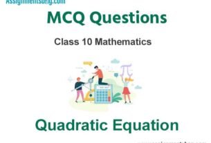 MCQ Questions Chapter 4 Quadratic Equation Class 10 Mathematics