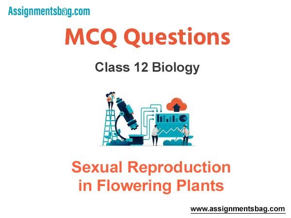 MCQ Questions Chapter 2 Sexual Reproduction In Flowering Plants Class 12 Biology