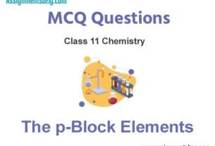 MCQ Questions Chapter 11 The p-Block Elements Class 11 Chemistry
