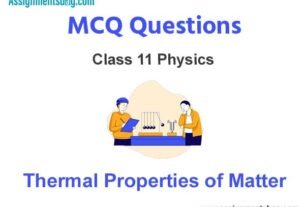 MCQ Questions Chapter 12 Thermodynamics Class 11 Physics