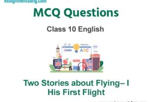 Two stories about flying 1 His first flight Class 10 MCQ