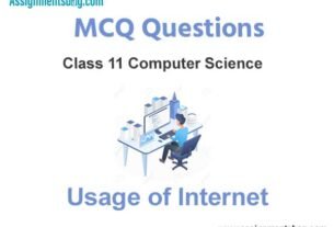 MCQ Questions Chapter 2 Usage of Internet Class 11 Computer Science