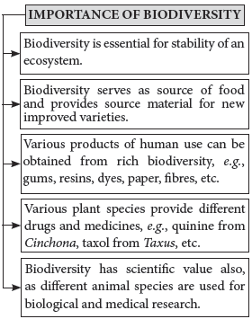 Biodiversity and Conservation Class 12 Biology Revision Notes
