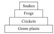 MCQ Questions Chapter 15 Our Environment Class 10 Science