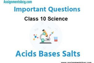 Acids Bases Salts Class 10 Science Important Questions