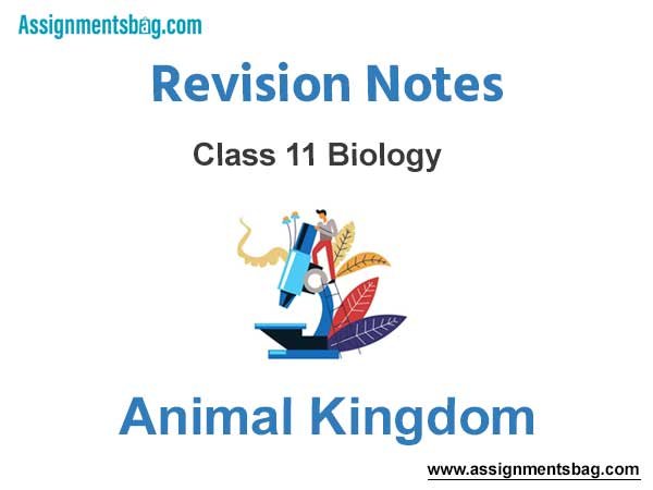 Animal Kingdom Class 11 Biology Revision Notes