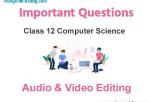 Audio & Video Editing Class 12 Computer Science Important Questions