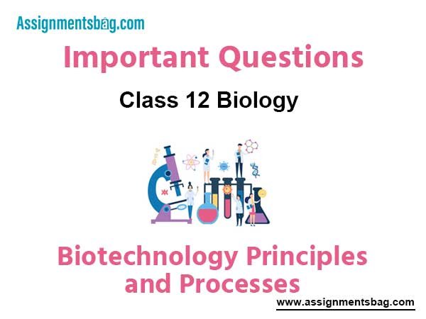 Biotechnology Principles and Processes Class 12 Biology Important Questions