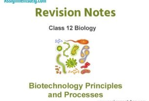 Biotechnology Principles and Processes Class 12 Biology Revision Notes