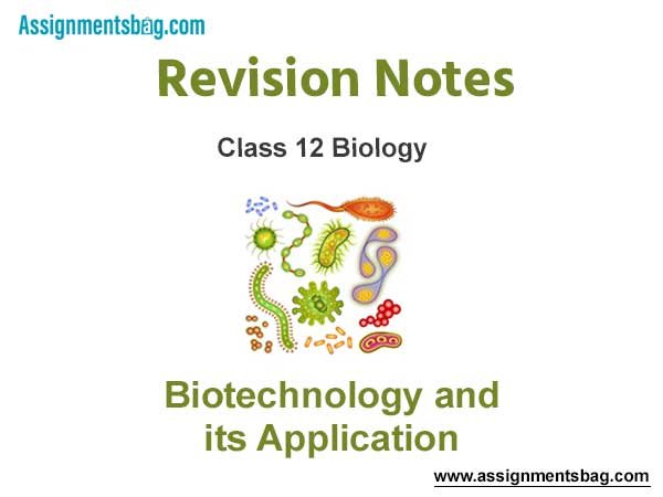 Biotechnology and its Application Class 12 Biology Revision Notes